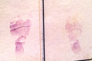 CHASE Feet imprints